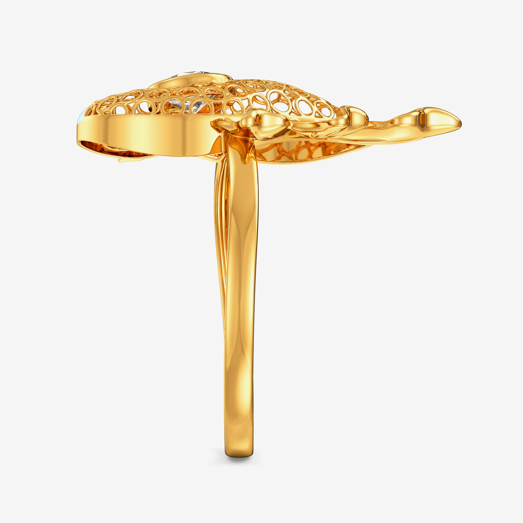 Peacock Brilliance Golden Ring alternate view 3