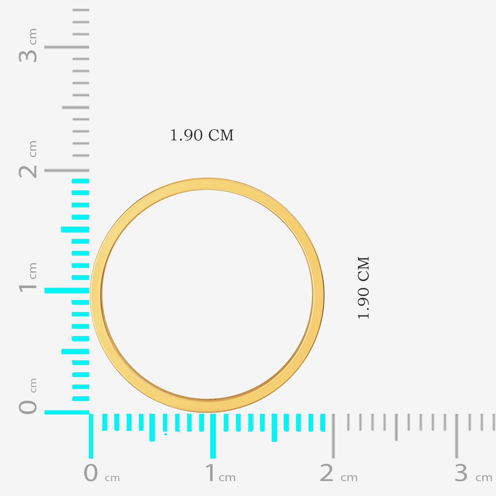 Opulent Modern Band Ring image