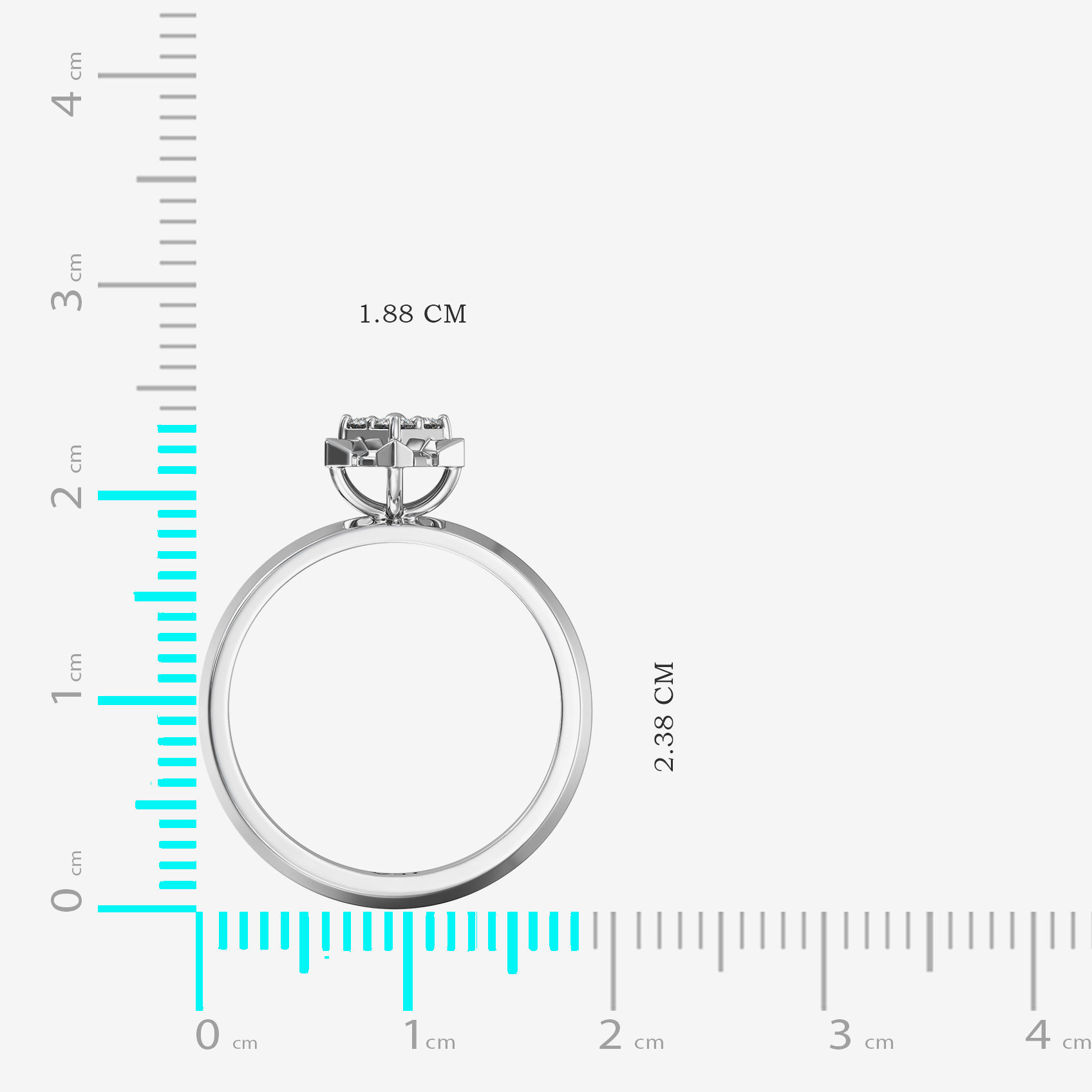 Flowering Joy  Platinum Ring image