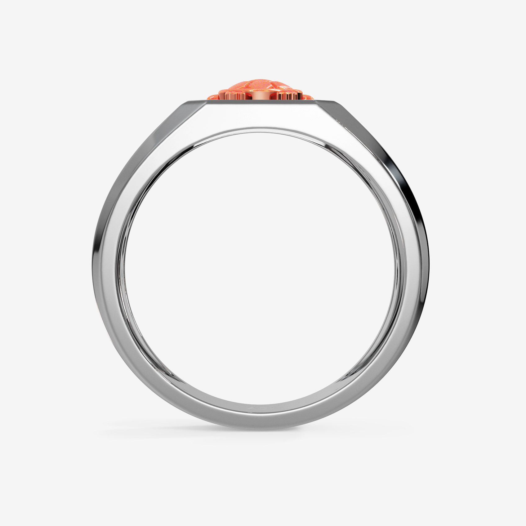 Earthy Tortoise Platinum Ring alternate view 2