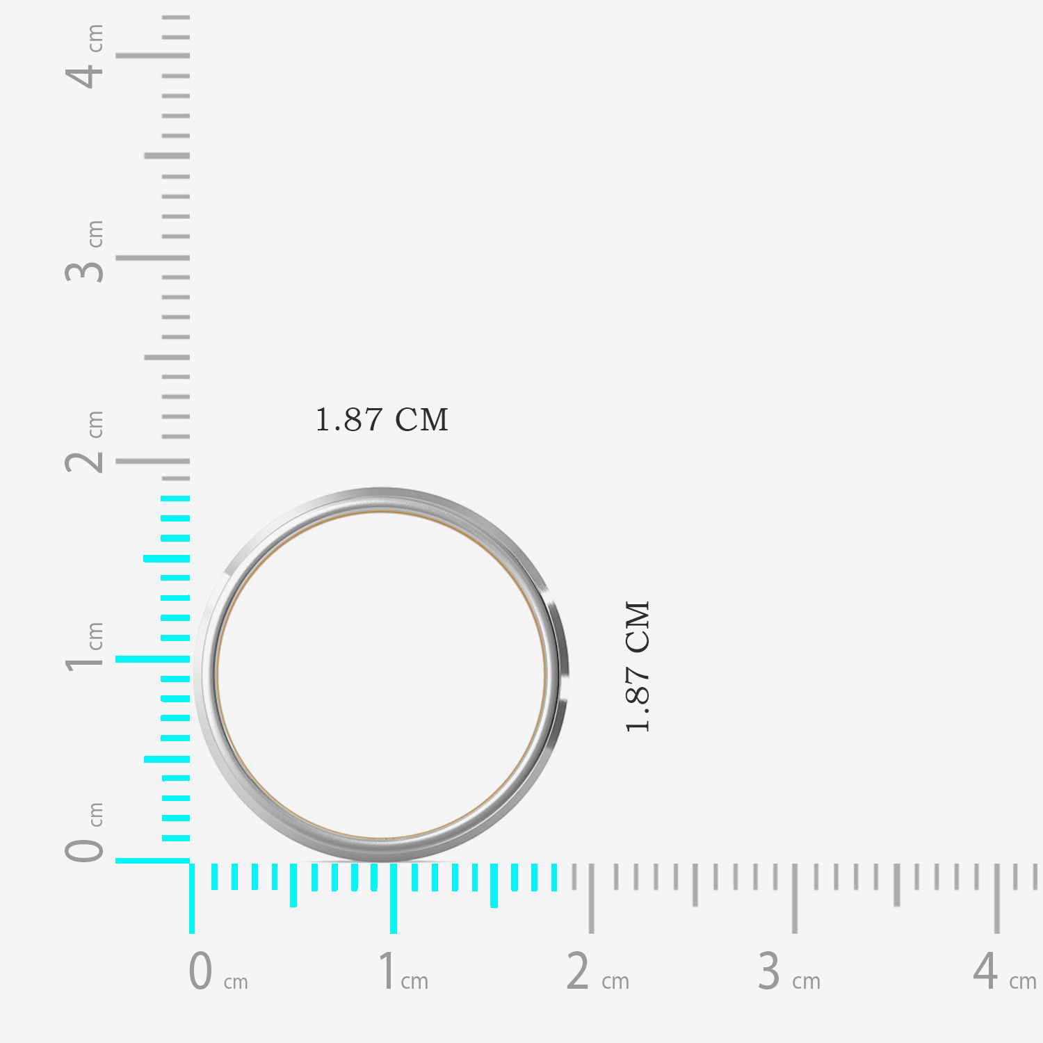 Duo Strip Perfect Platinum Ring image