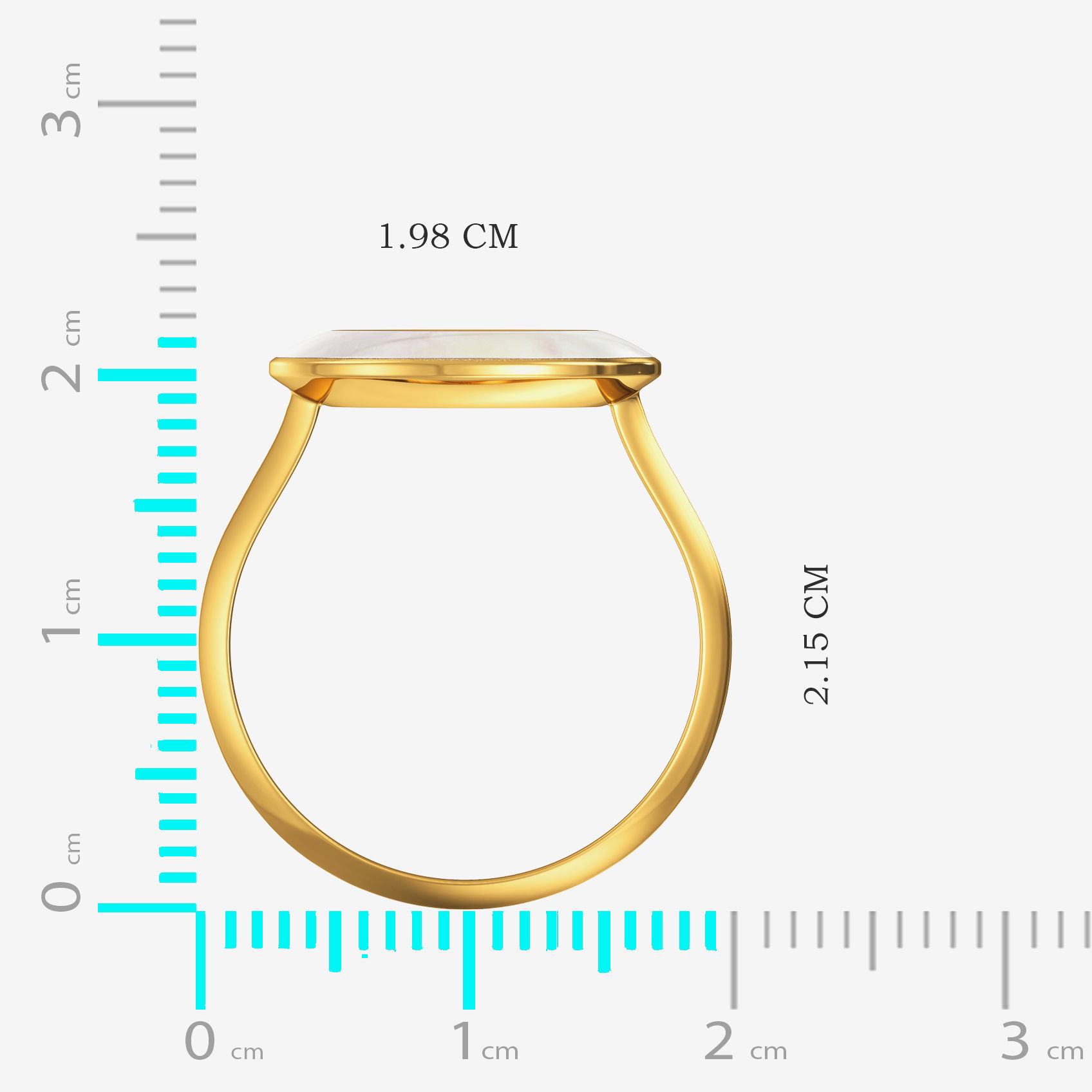 Notions of totality Gold Ring image